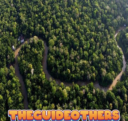 Bak di Film: Liburan ke Hutan Amazon, Kapal Turis Dibajak Perampok