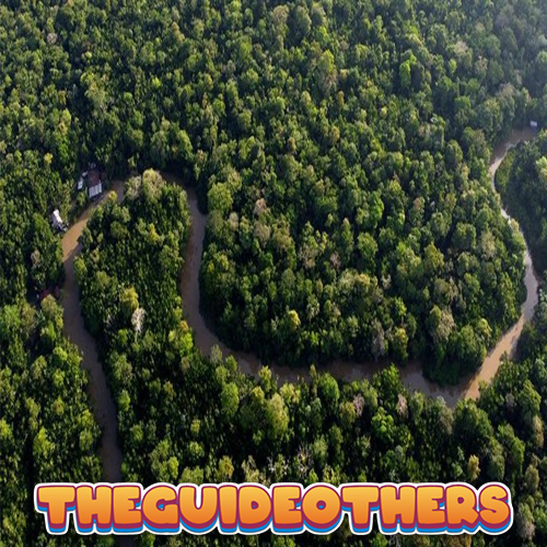 Bak di Film: Liburan ke Hutan Amazon, Kapal Turis Dibajak Perampok