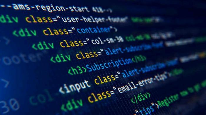 Belajar Coding Tanpa Ribet: Panduan Lengkap untuk Pemula